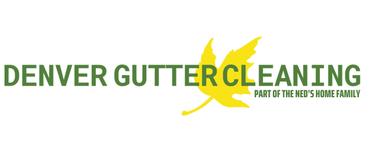 Denver Gutter Cleaning logo