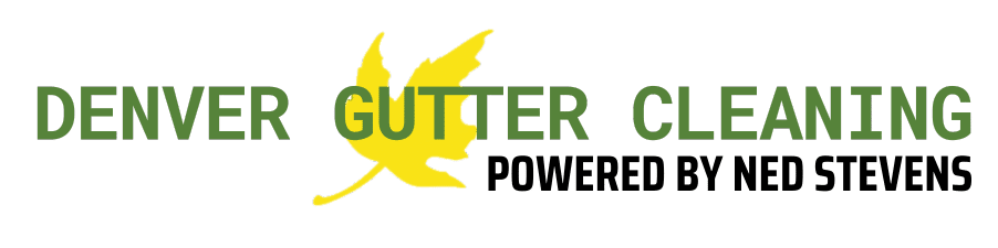 Denver Gutter Cleaning logo